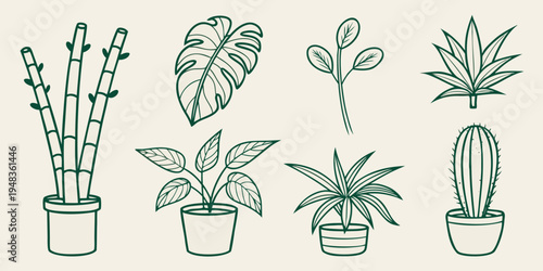 a collection of six different potted plants Vector