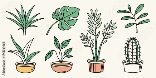 a group of potted plants with different shapes and sizes Vector