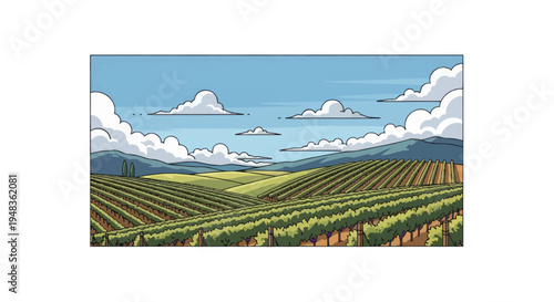 Rolling hills covered in vineyards under a cloudy blue sky
