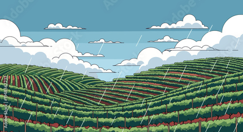 Rolling green hills with rows of plants under a cloudy, rainy sky