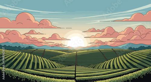 Rolling green fields stretch towards mountains under a sunset sky