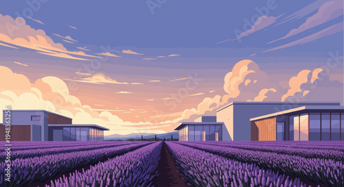 Rows of purple flowers stretch toward modern buildings under a soft, cloudy sunset sky