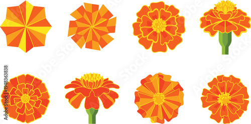 Geometric Marigold Flower Illustrations in Bold Orange and Yellow with Angular Petals and Vibrant Designs