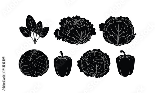 Illustrated black and white line drawings of various vegetables and herbs
