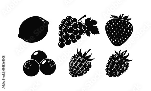 Black and white illustration of various types of berries and grapes