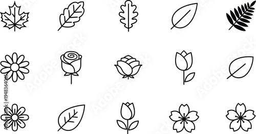 Black and white line of various leaves and flowers line black and white botanical