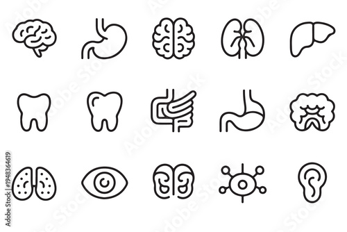 Human Body Organs and Medical Icons Set in Minimalist Line Art Style