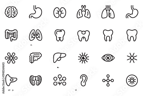 Comprehensive Medical and Human Anatomy Line Icon Collection with Organs Teeth and Sensory Symbols