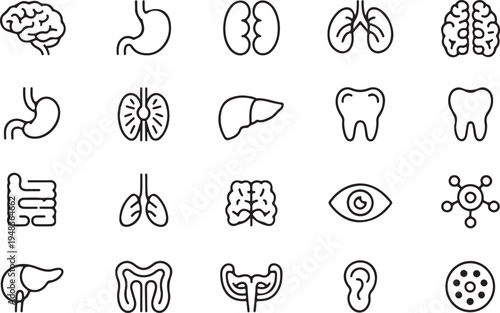 Human Internal Organs and Body Parts Line Icon Set - Brain, Stomach, Kidneys, Lungs, Liver, Teeth, Intestines, Eye, Ear, and Molecule