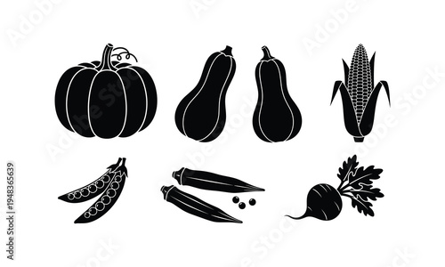 Illustrated autumn harvest vegetables and corn collection in black and white