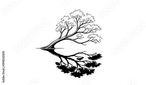 Minimal leaning tree with reflection in water black and white botanical vector illustration