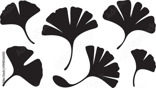 Ginkgo biloba leaf silhouettes collection oriental botanical foliage elements nature herbal decoration