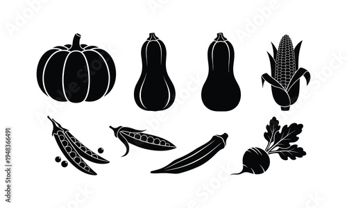 Classic autumn vegetables and harvest crops illustration