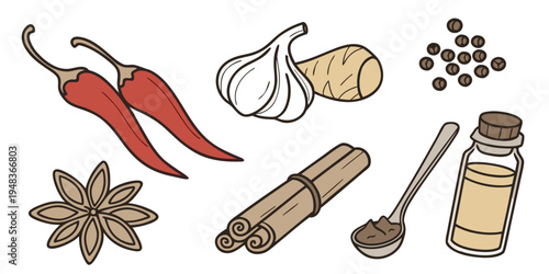 a collection of spices and ingredients for cooking Vector
