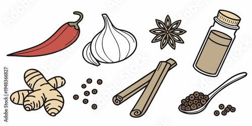 a collection of spices and herbs for cooking Vector