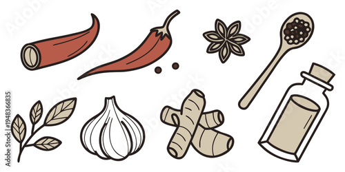 a collection of spices and herbs for cooking Vector