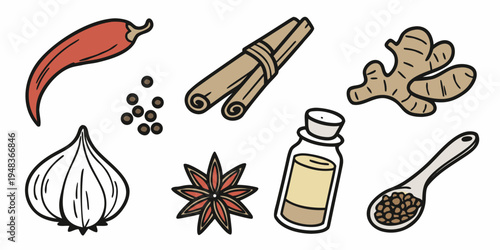 a collection of spices and ingredients for cooking Vector