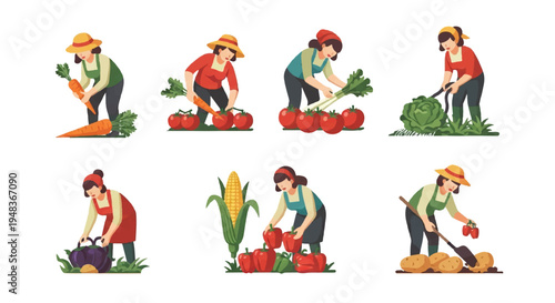 Woman harvesting vegetables illustration set