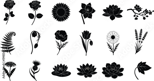 Black floral on white background flowers plants