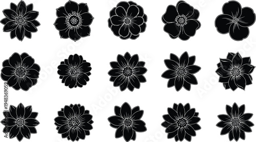 Black flowers on white background floral