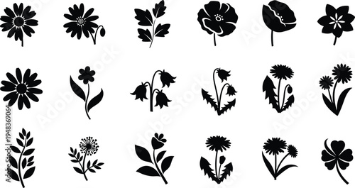 Black floral silhouettes on white background flowers