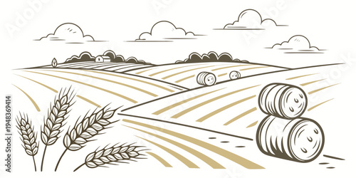 a field with hay bales and wheat Vector