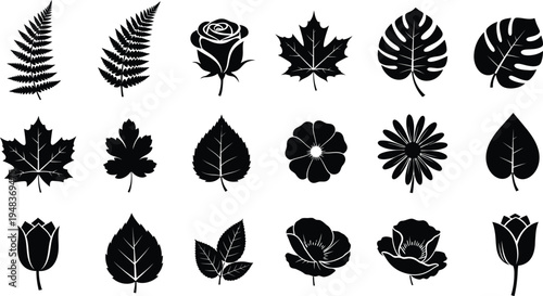 Black leaf and flower silhouettes on white background leaves flowers