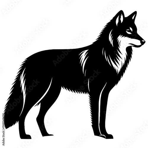 Black wolf vector design