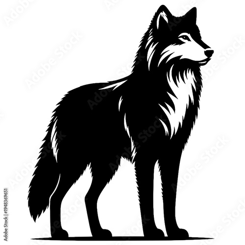 Black wolf vector design