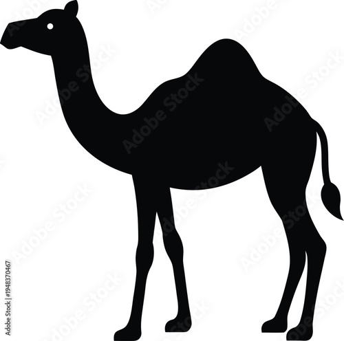 Dromedary silhouette vector art Illustration