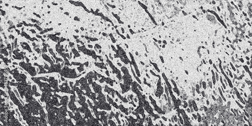 Abstract grayscale textured background with organic blotchy patterns and speckled noise creating a distressed and weathered surface effect for graphic design