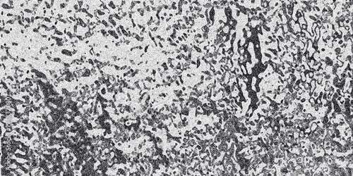 Close-up abstract grayscale texture with irregular organic shapes and speckled noise, resembling a natural pattern or weathered surface for design backgrounds