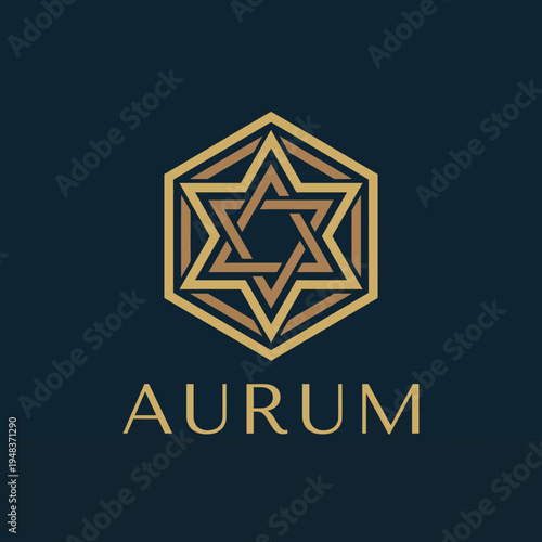 This sophisticated geometric star logo in gold against a dark background embodies luxury, elegance, and professionalism, perfect for any high-end brand or service.