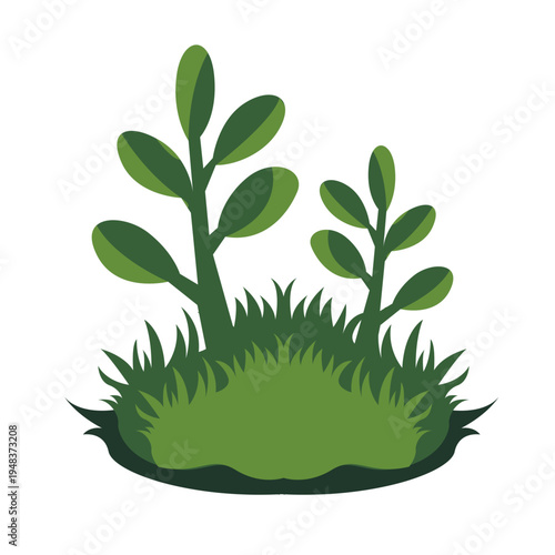 Green plant with grass base and oval leaves on multiple stems, perfect for garden graphics and decorative nature illustrations with flat vector style.