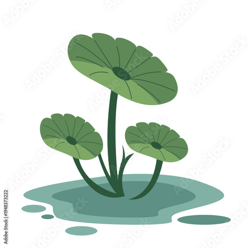 Green aquatic plant with round leaves on stems growing from water, ideal for pond graphics and decorative nature elements with flat vector style.