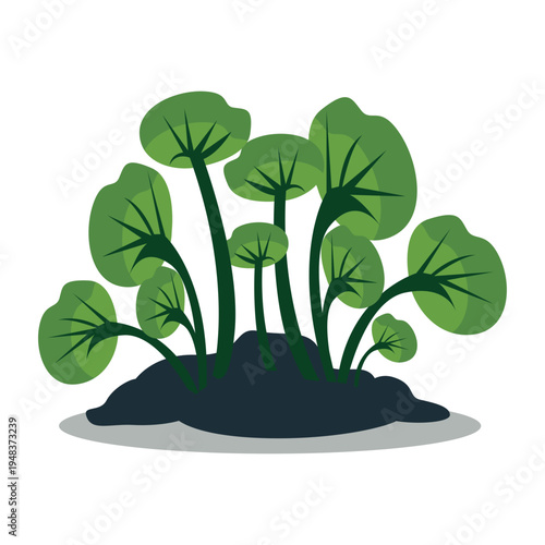 Green plant with round lily pad-like leaves on stems growing from dark ground, perfect for aquatic graphics and nature illustrations with flat vector style.