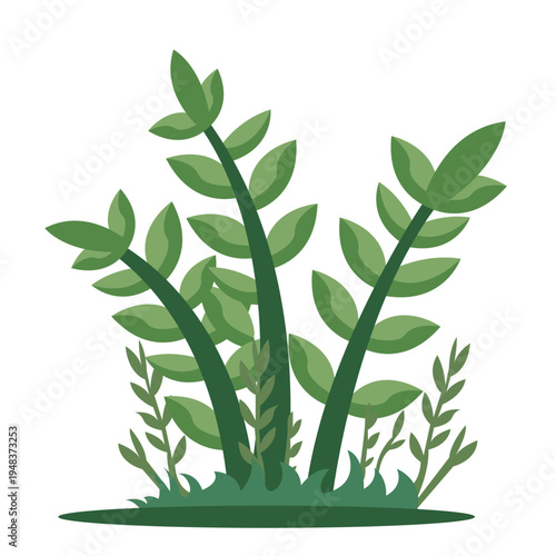 Tall green plant with multiple stems and small oval leaves growing from ground, perfect for nature illustrations and decorative botanical elements with flat vector style.