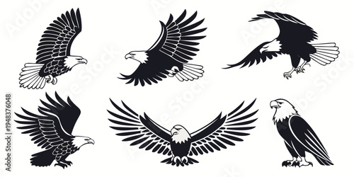 six different eagle poses in flight and standing Vector