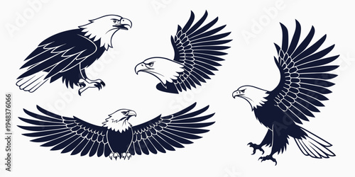 four black and white bald eagles in different flying positions Vector
