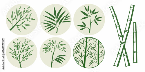 a collection of green bamboo plants and leaves Vector