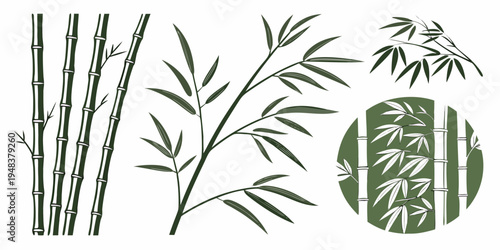 bamboo plant with leaves and stalks Vector