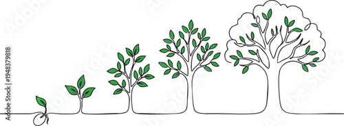 Life cycle of a tree from seed to big plant, continuous one line drawing showing stages of growth and development, nature evolution and environment sustainability concept art
