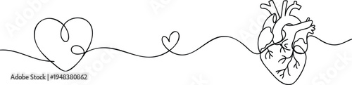 A creative illustration of hearts and a detailed anatomical heart connected by a line