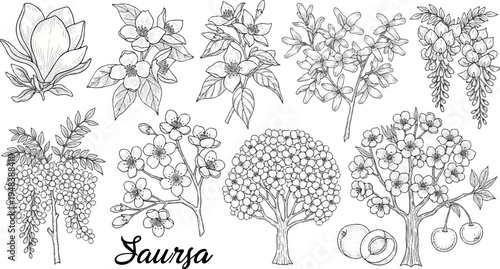 Delicate line art depicts various blooming branches, trees, and fruits