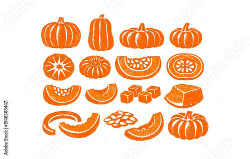 Variety of pumpkin shapes and slices in orange illustration