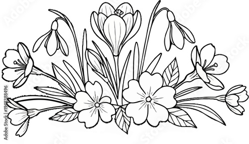 Delicate line art illustration of blooming spring flowers and greenery