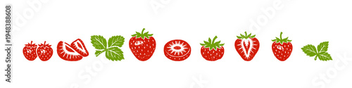Red strawberries and green leaves illustration on white background