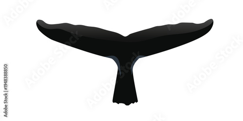 Black whale tail silhouette on white background, majestic ocean creature symbol, image evokes marine life, the ocean, and nature