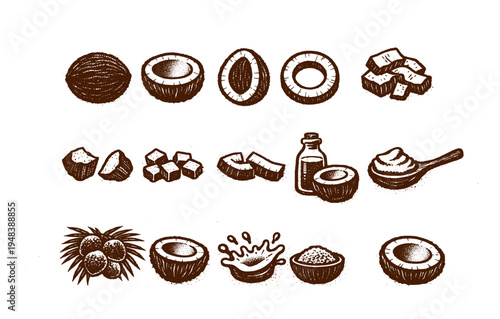 Hand-drawn coconut illustrations: whole, halved, sliced, grated, oil, milk, sugar, tree