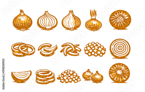 Vintage onion illustrations: whole, sliced, and diced variants